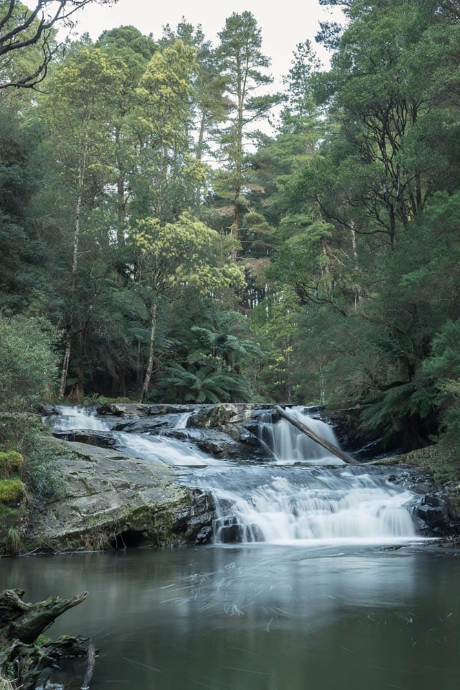 Portrait photo of the second drop at Morwell River Falls
