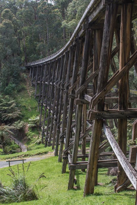 Portrait image of Noojee Trestle Bridge, shows the curve through the length of the bridge