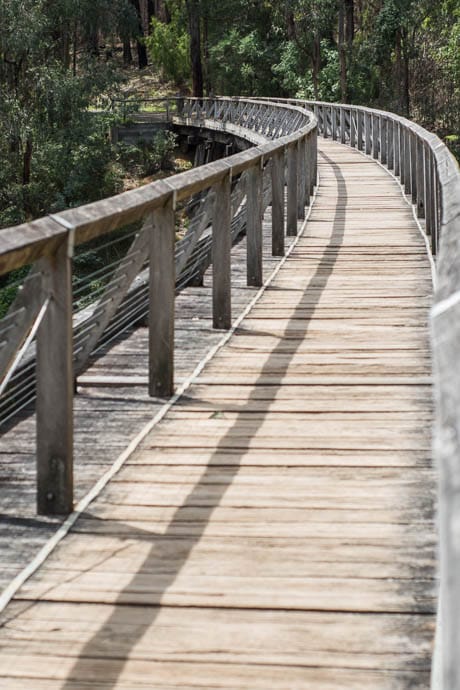Portrait photo on top of the Noojee Trestle Bridge