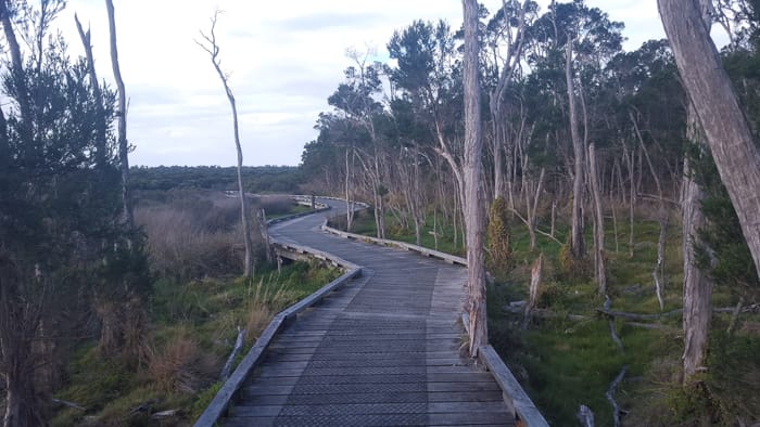 Rhyll Inlet Walk