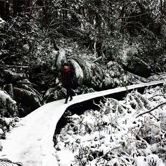 Mt St Gwinear