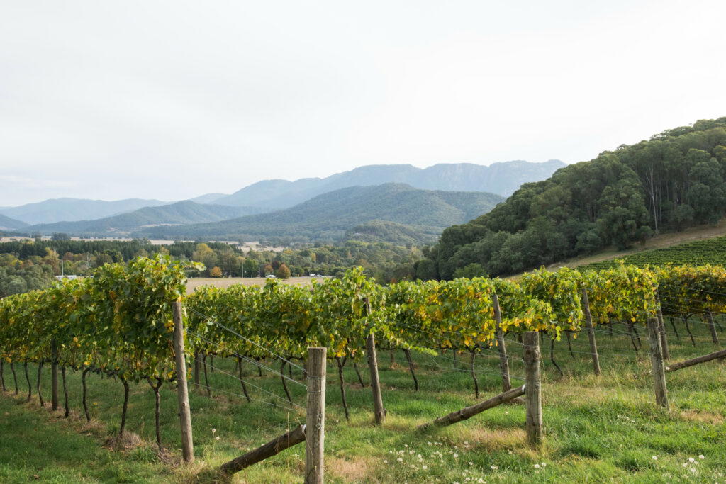 Winery