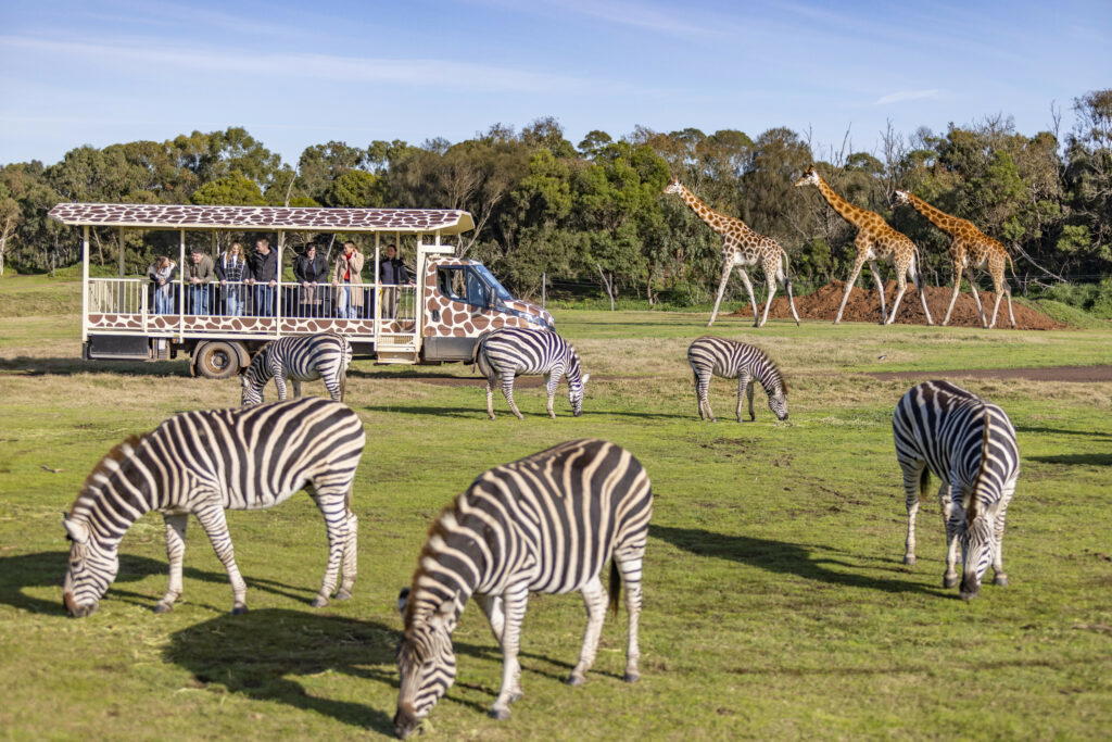 Werribee Zoo