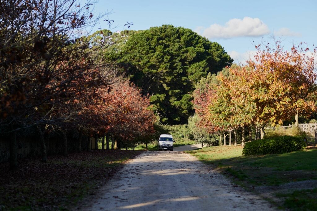 Wine Tours