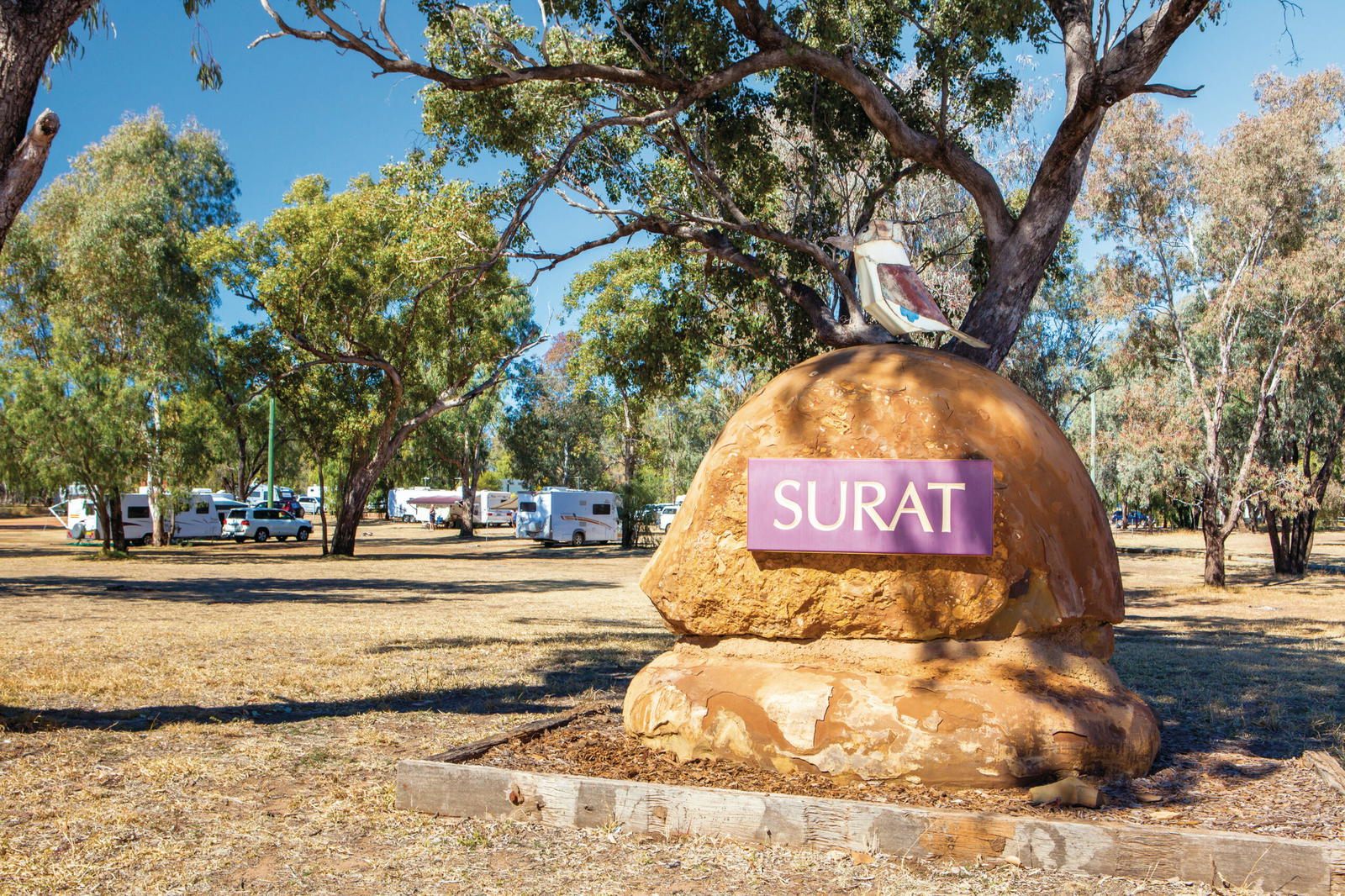 Surat
