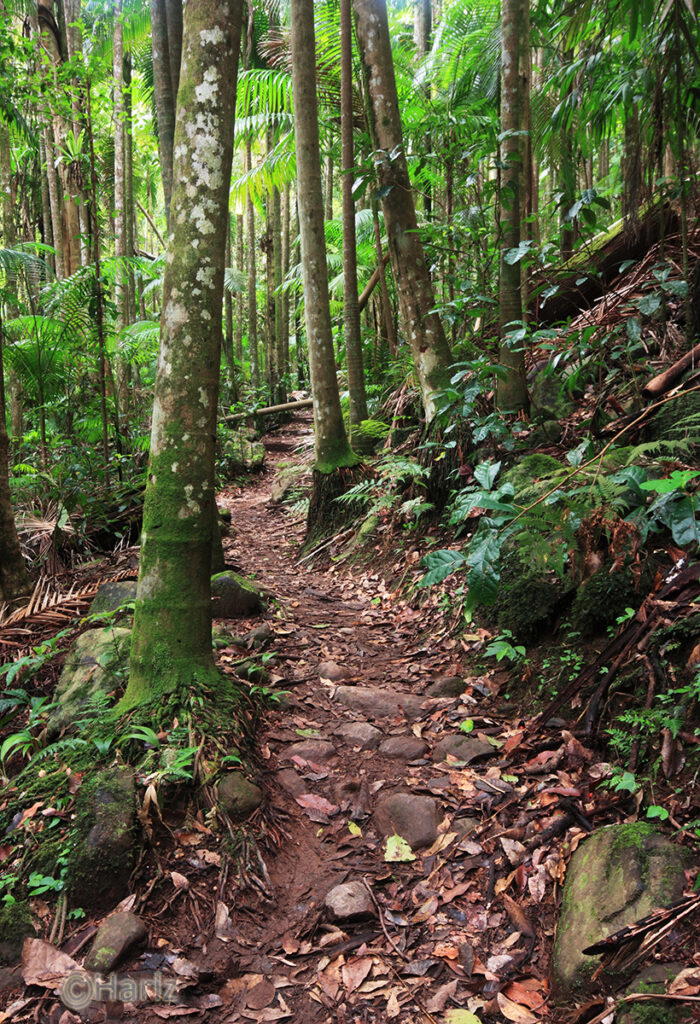 Walking Trails