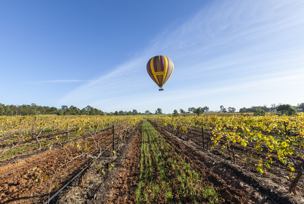 Ballooning