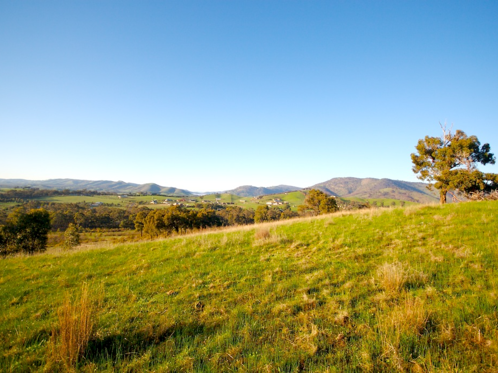 Tallarook