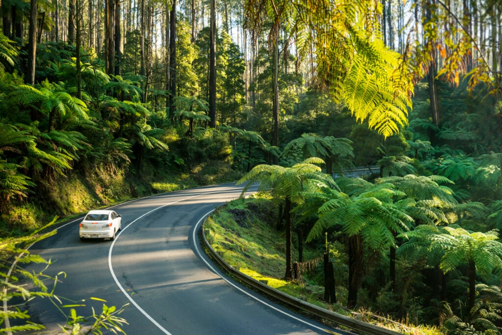 Black Spur Drive
