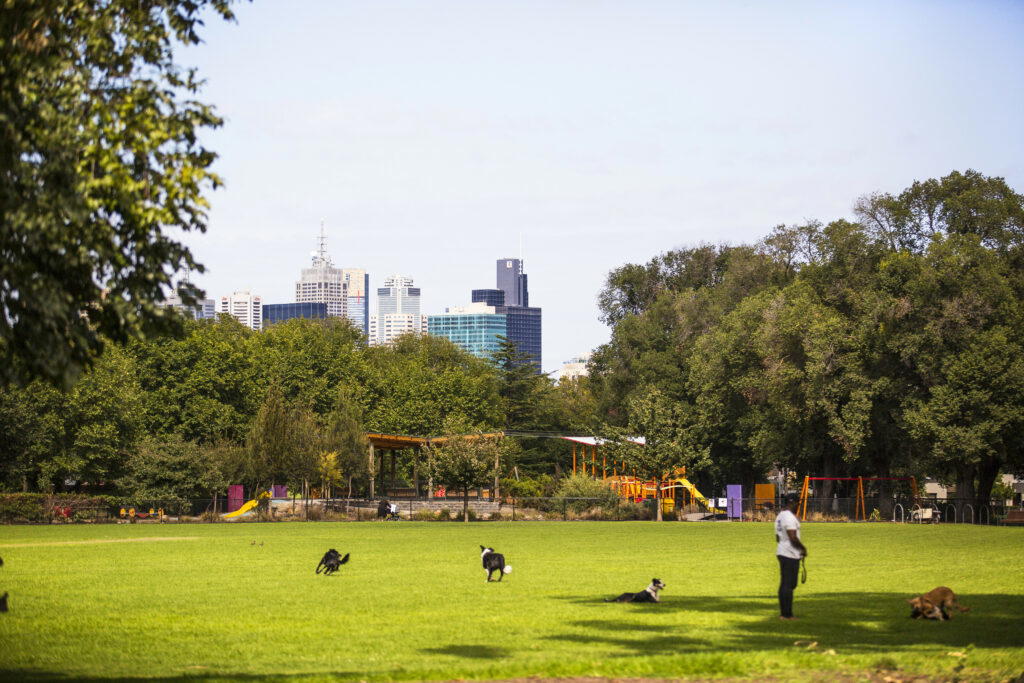Dog Park