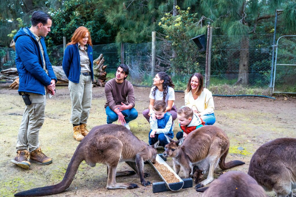 Melbourne Zoo