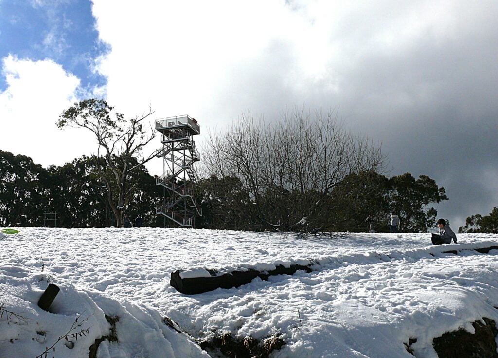 Mt Donna Buang