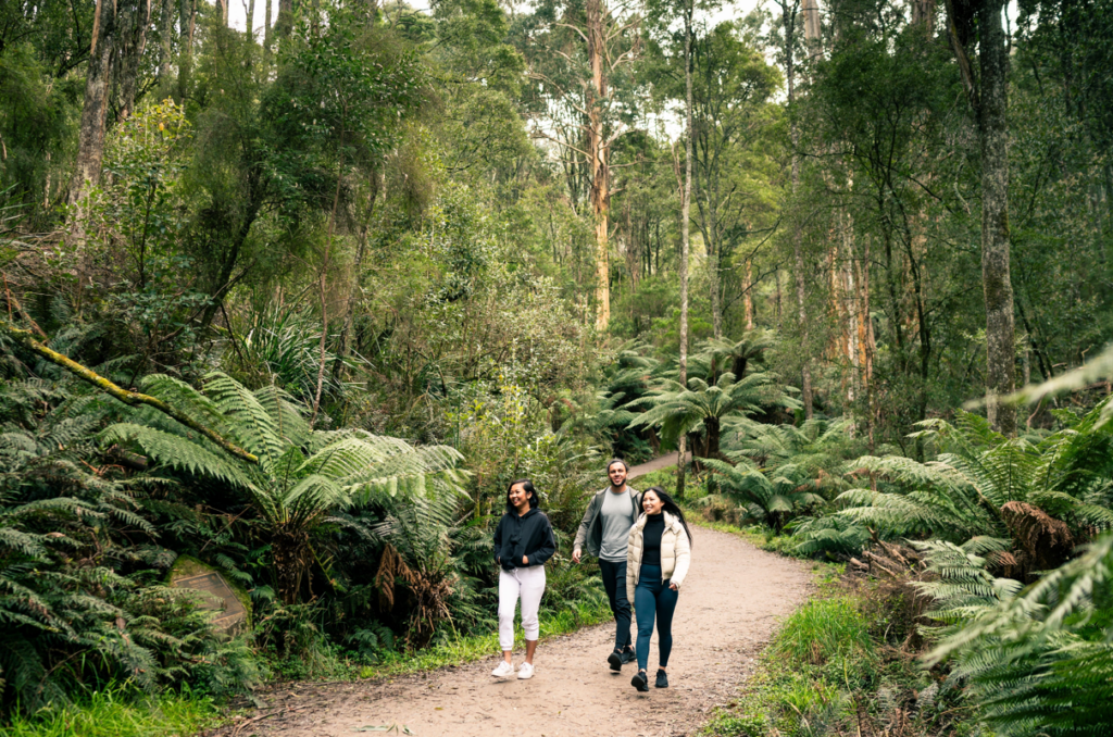 Dandenong Ranges