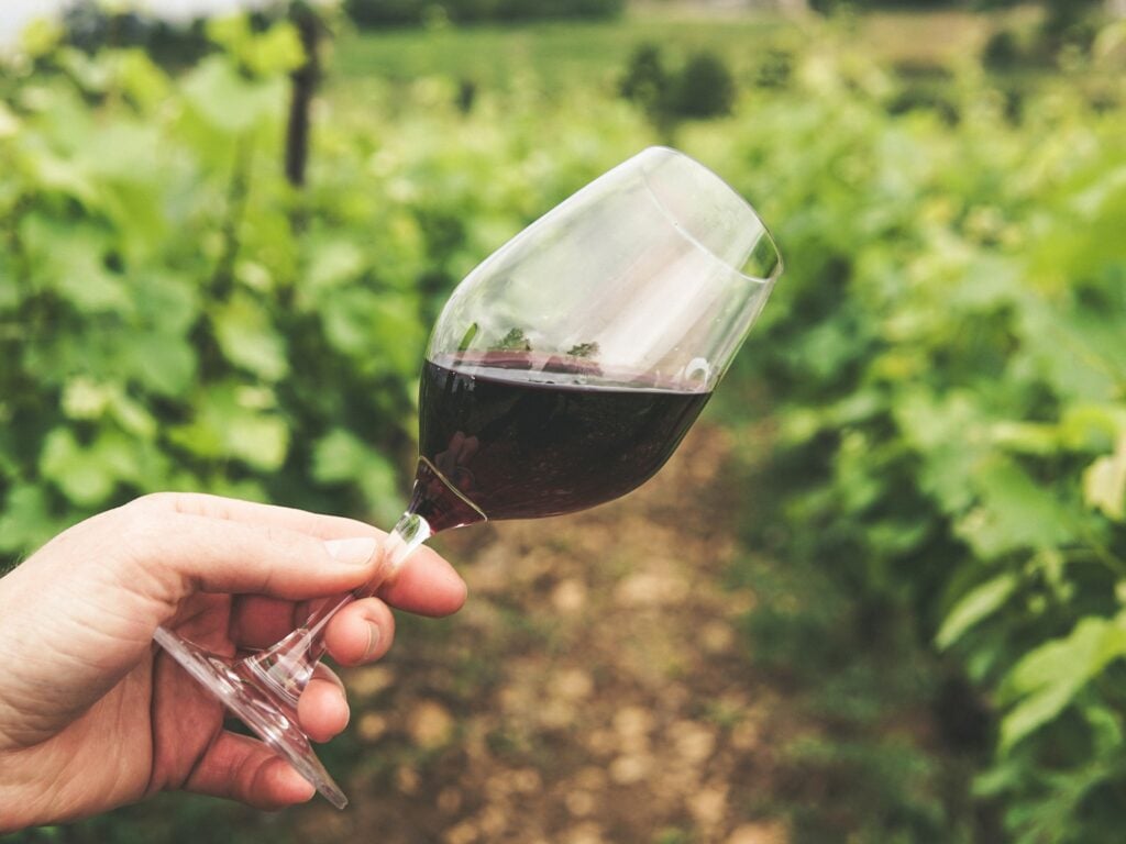 Wineries In Grampains