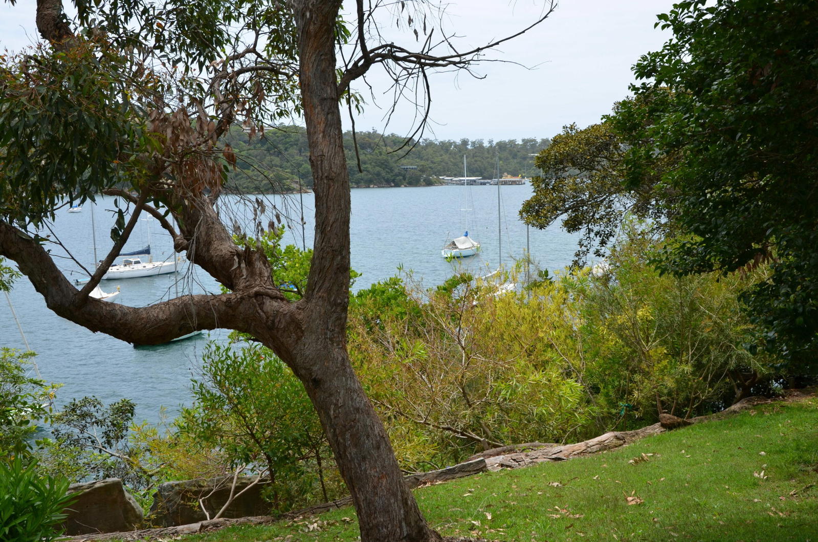 Cremorne Point