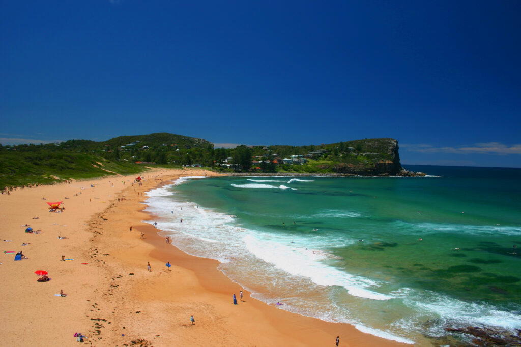 Avalon Beach