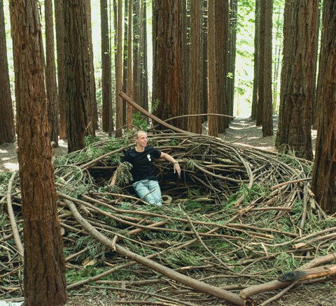 Birds Nest at East Warburton Redwood Forest