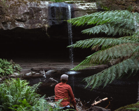 Lower Kalimna Falls