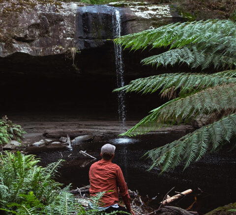 Lower Kalimna Falls