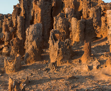 Cape Bridgewater Petrified Forest
