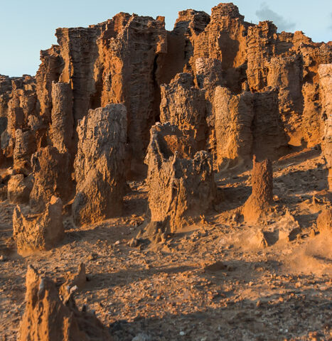 Cape Bridgewater Petrified Forest