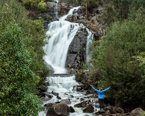 Steavenson Falls