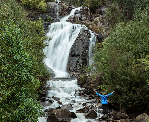 Steavenson Falls