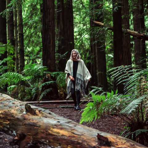 Redwoods Otways