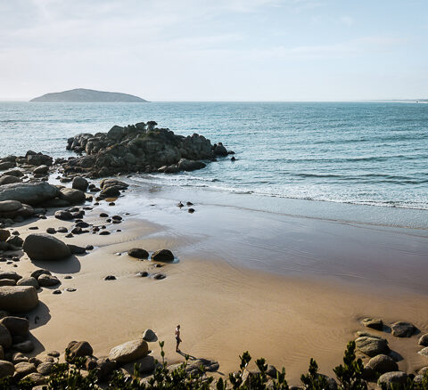 Fairy Cove Wilsons Prom