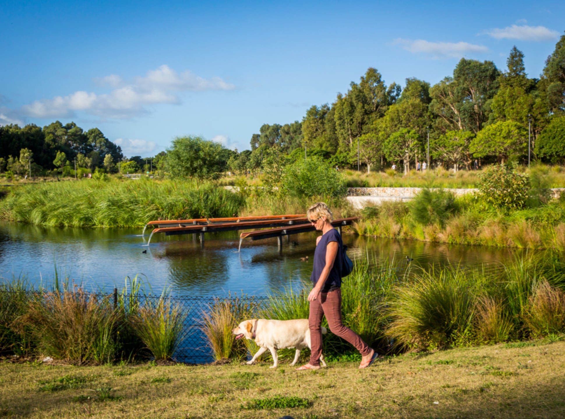 Sydney Park