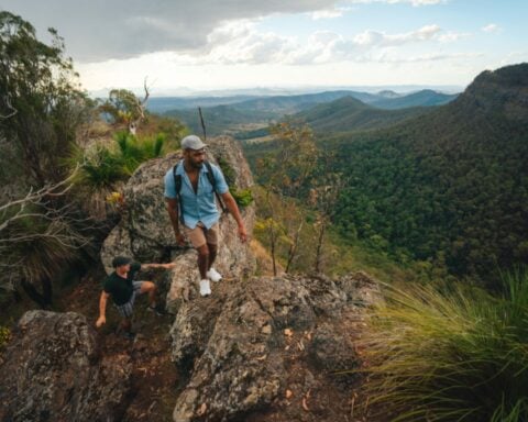 Lamington National Park