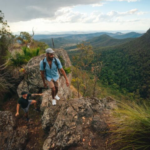 Lamington National Park
