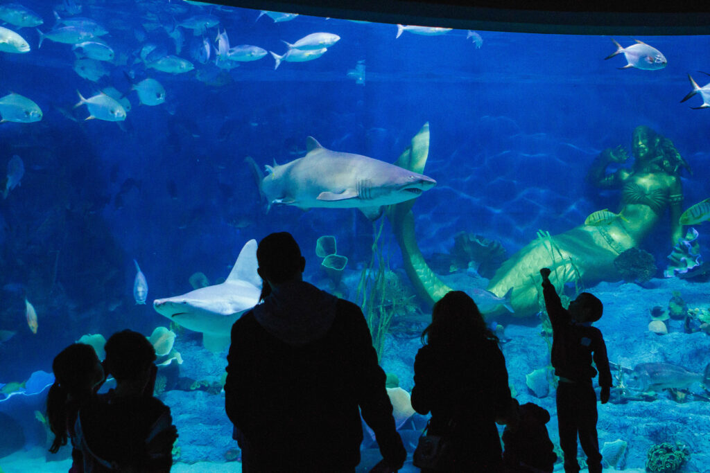 Melbourne Aquarium