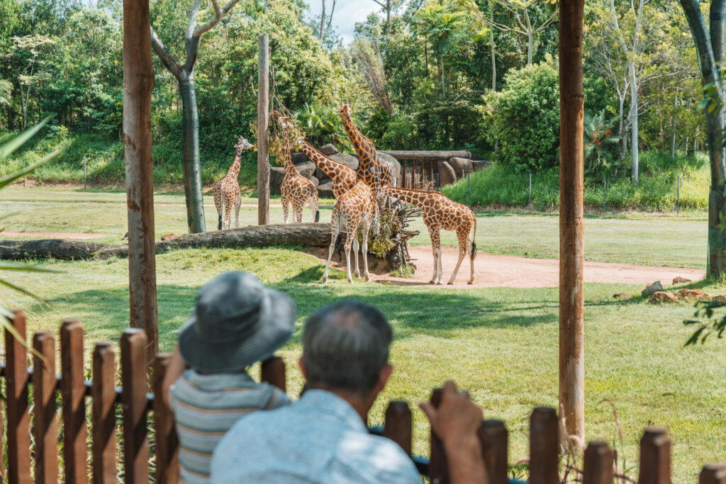 Australia Zoo
