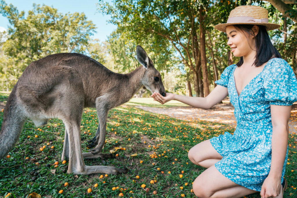 Australia Zoo