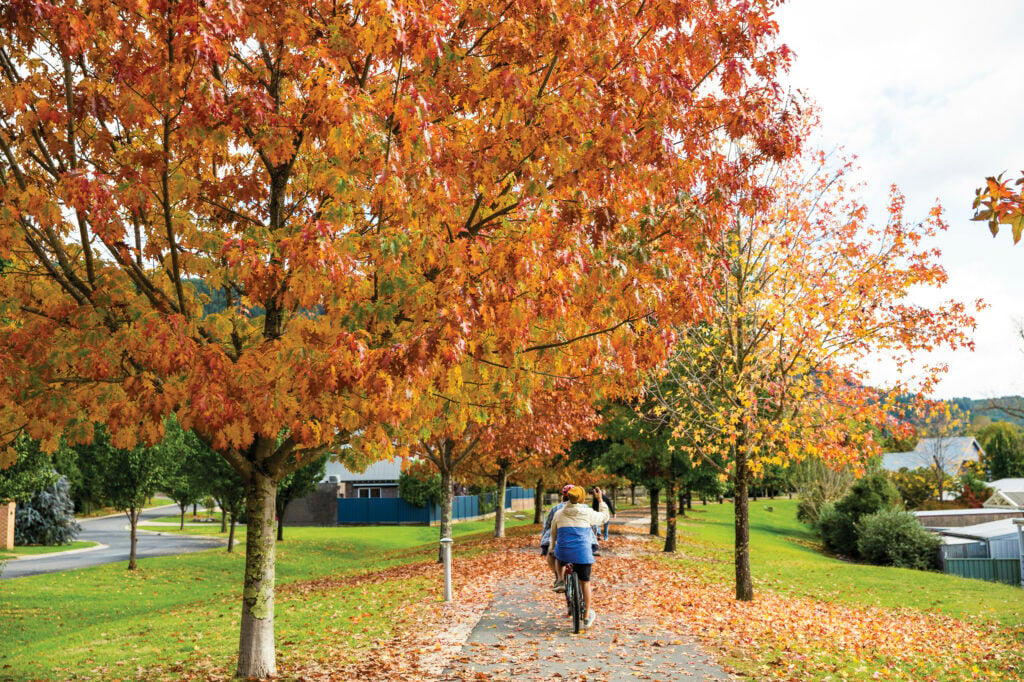 Autumn