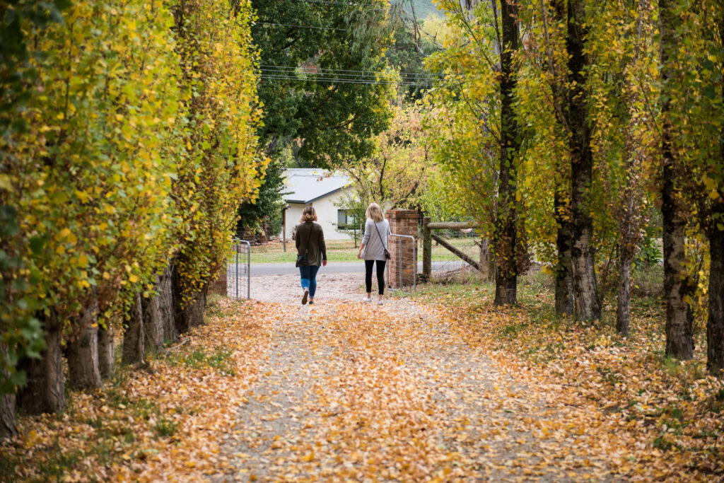 Bright Autumn