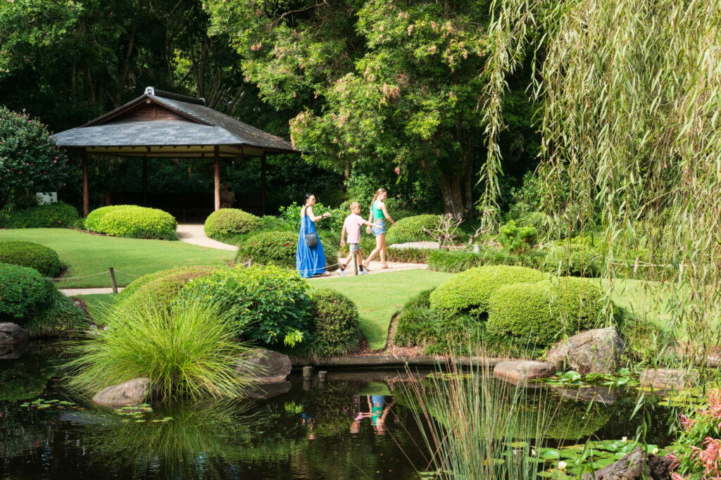 Brisbane Botanic Gardens Mt. Coot-tha