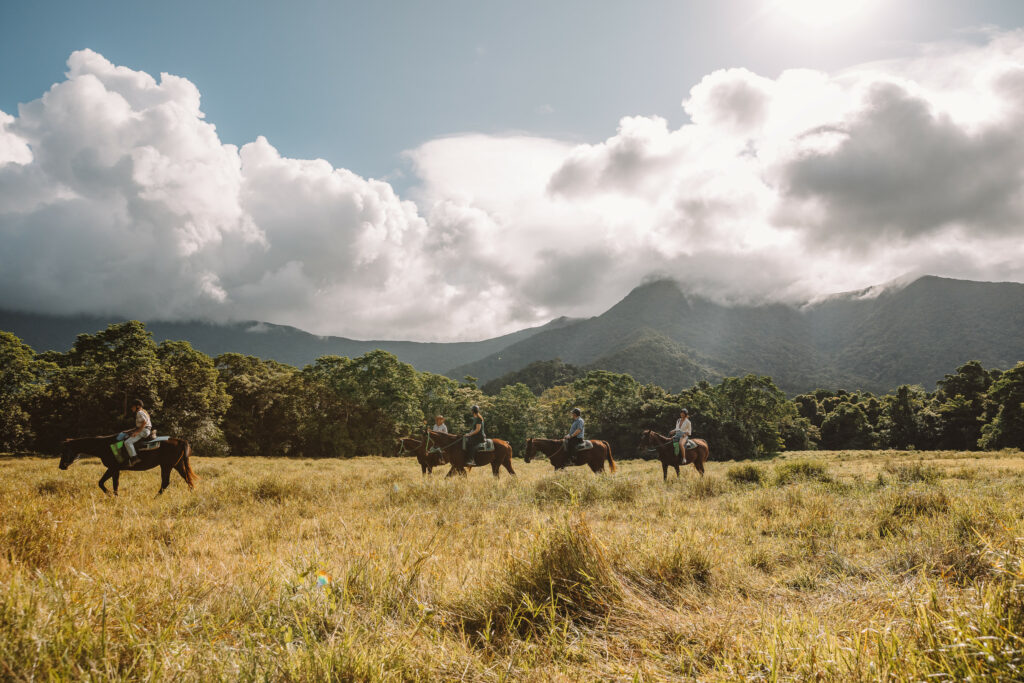 Daintree National Park