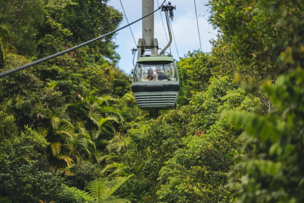 Skyrail Rainforest Cableway
