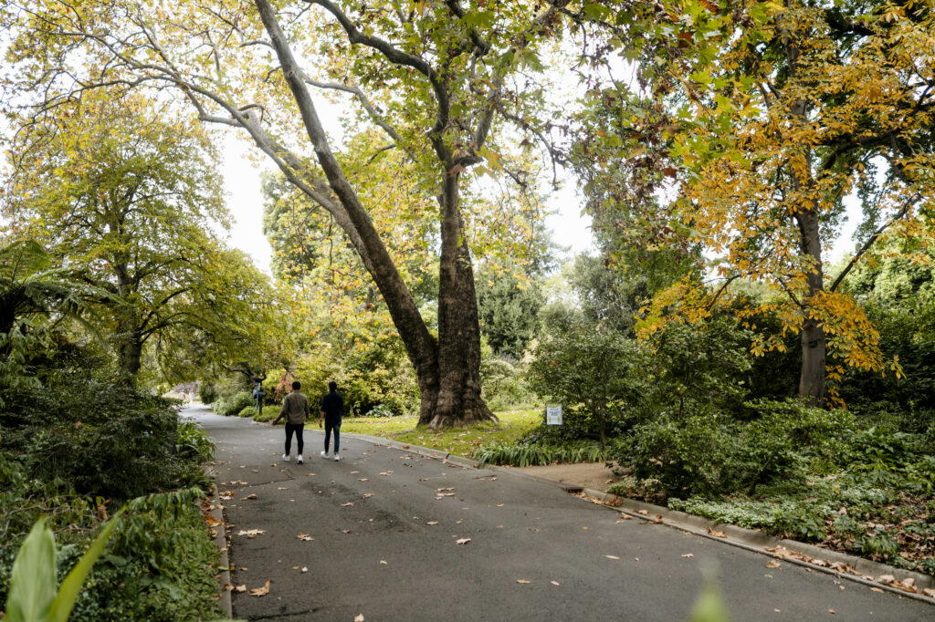 Royal Botanic Gardens
