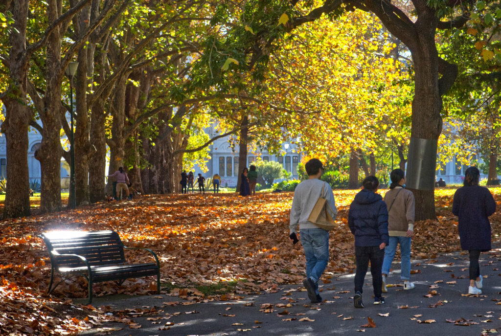 Carlton Gardens