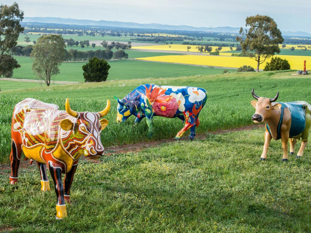 Shepparton