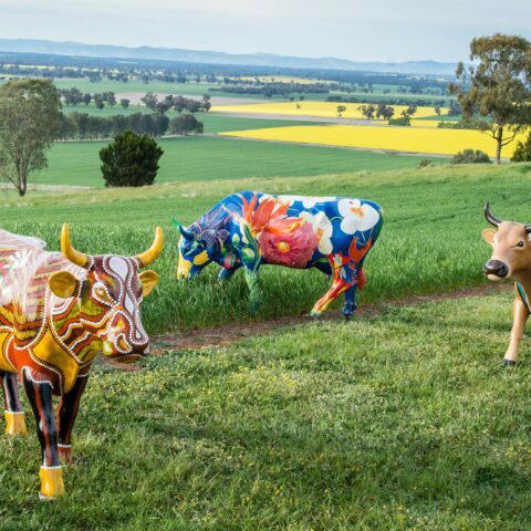 Shepparton