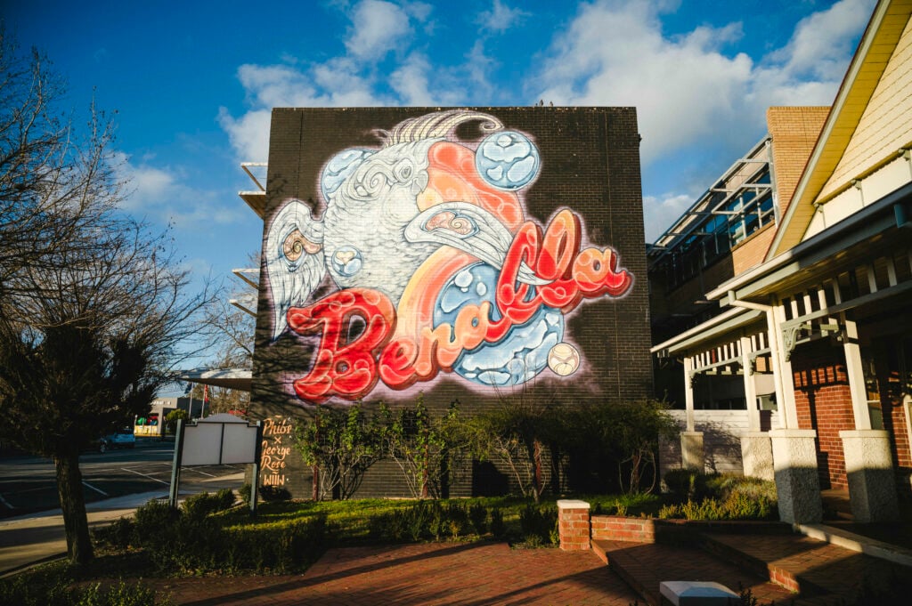 Benalla Street Art