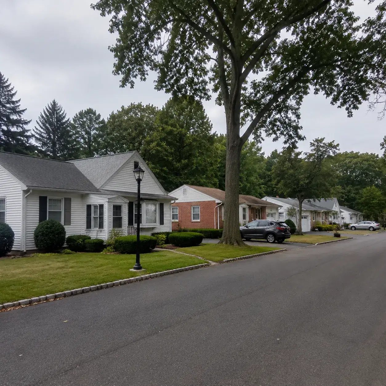 Realistic editorial photo of a large New Jersey 55 plus community with older low-rise homes, mature trees, parked cars,