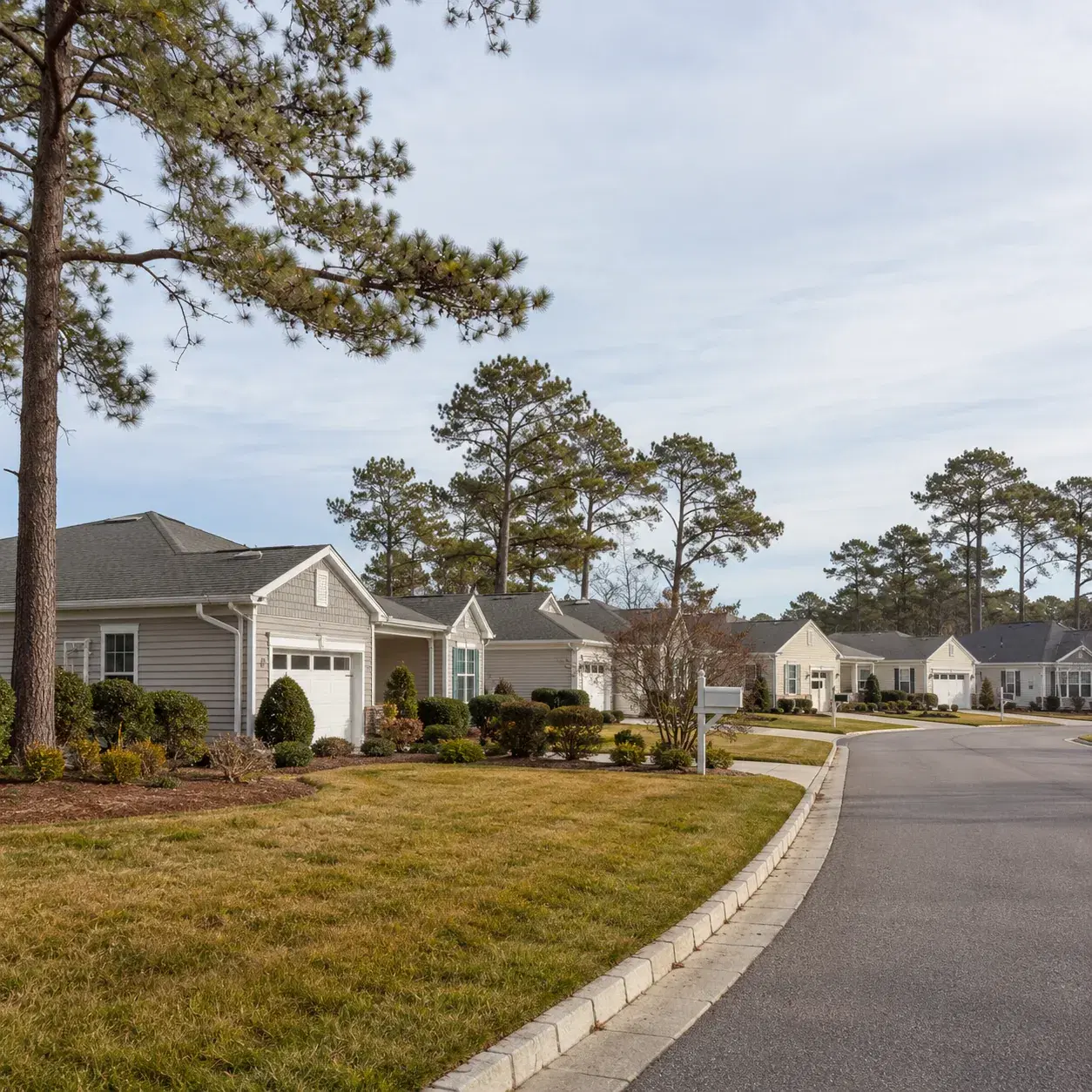 Realistic editorial photo of a Barnegat New Jersey active adult community with single-family homes, pine trees, quiet st