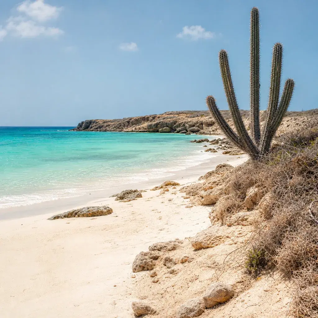 Realistic editorial photo of Aruba beach scene showing how dry the sun feels, dry island light and turquoise water, warm