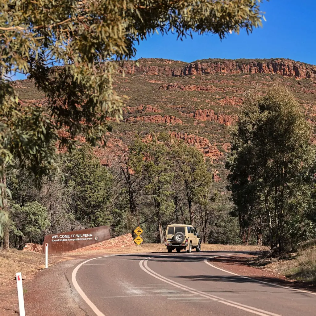 Ikara-Flinders Ranges National Park, South Australia