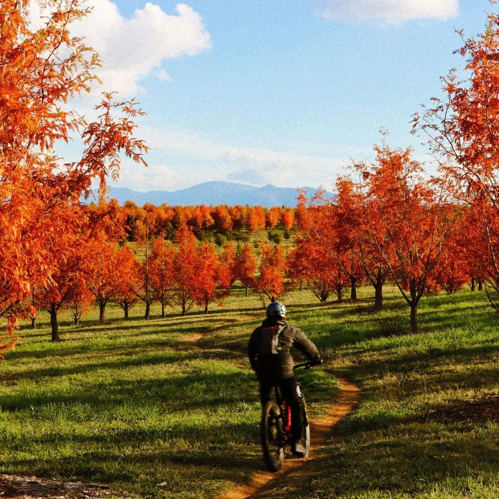 Molonglo Valley, Australian Capital Territory